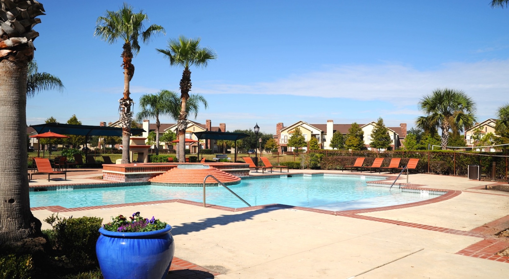 a swimming pool with palm trees