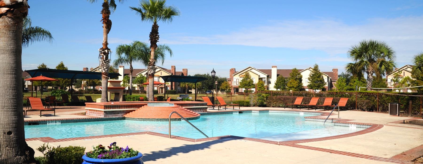 a swimming pool with palm trees